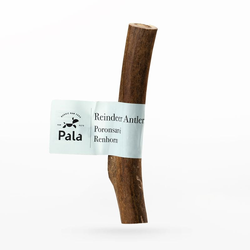 PALA kauwsnack- Rendiergewei