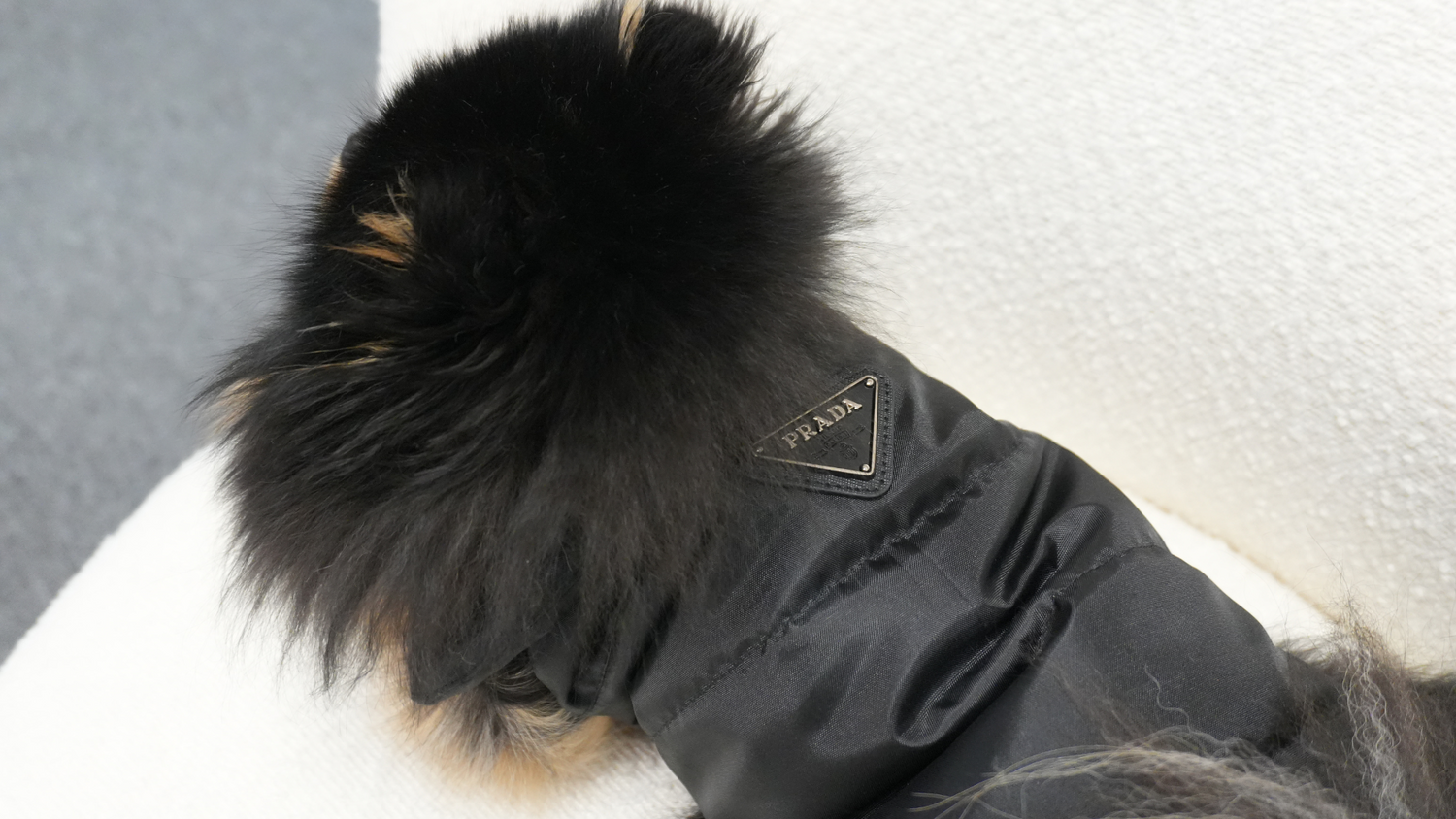 Kleding