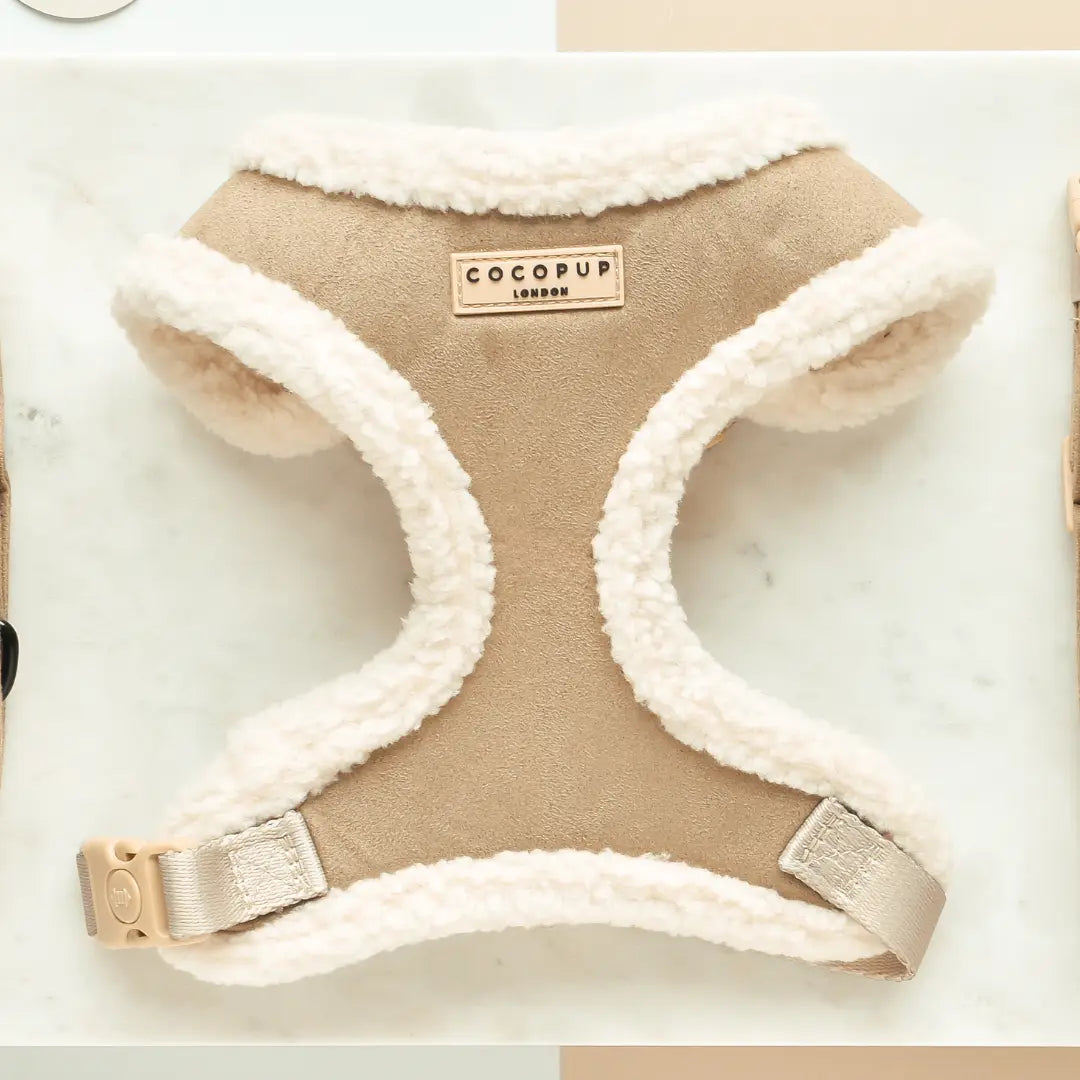 Cocopup London - Beige Aviator Tuigje
