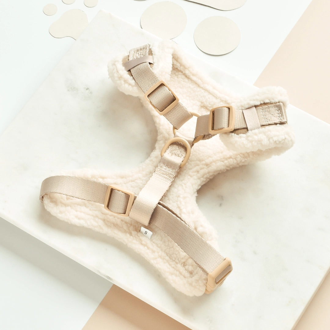 Cocopup London - Beige Aviator Tuigje
