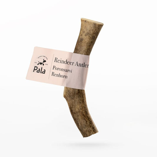 PALA kauwsnack- Rendiergewei